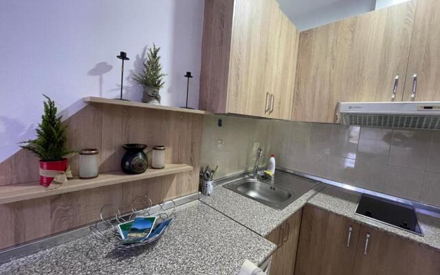 Downtown Modern Studio Apartment