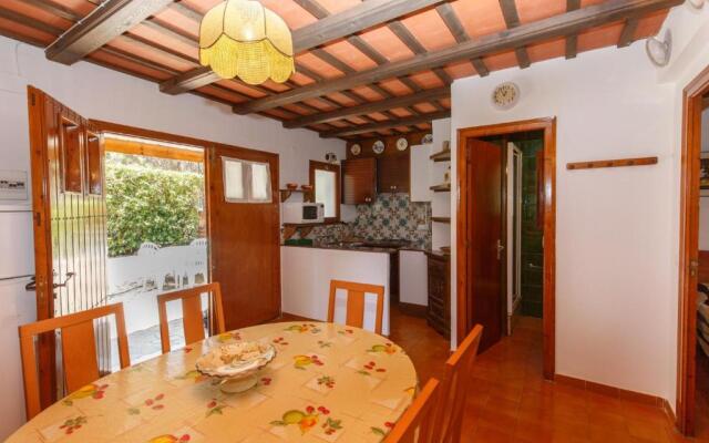 Calsina Bax 2h
