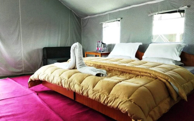 Cold Desert Camp