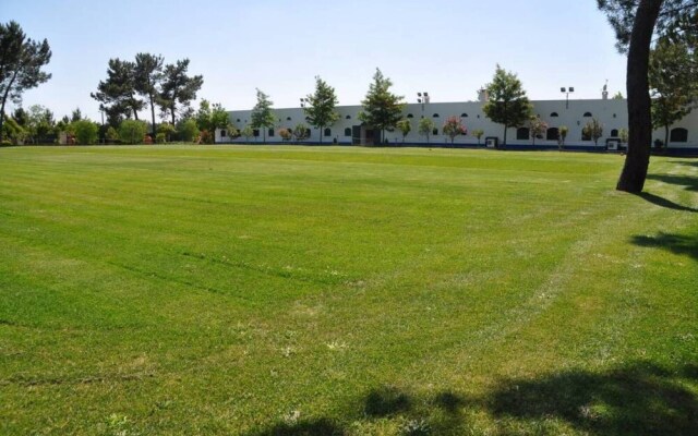 The Camp