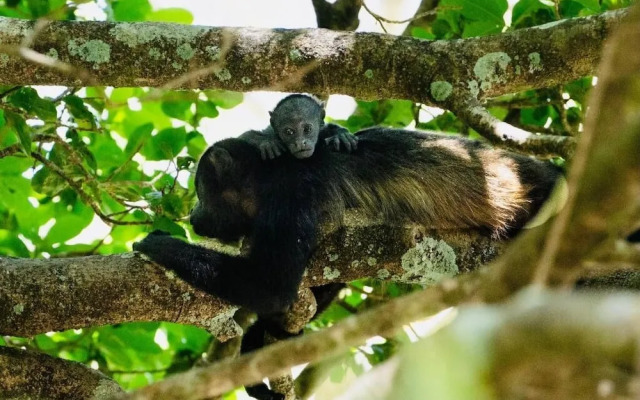 Antema Lodge