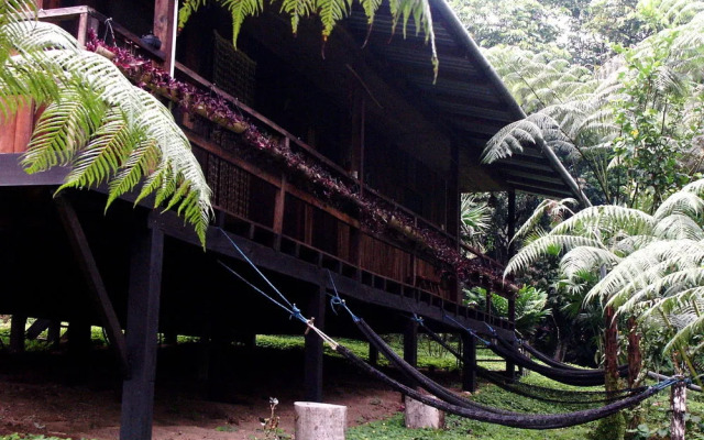 Hakuna Matata Lodge