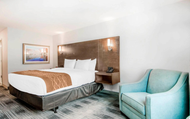 Comfort Inn & Suites