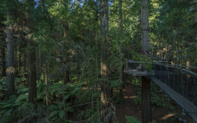 Silver Fern Rotorua Suites & Spa