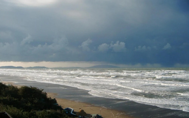 Marina Di Castagneto