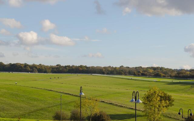 Holiday Inn Express London-Epsom Downs by IHG