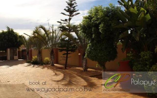 Cycad Palm Guest House