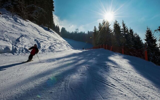 Mansion in Eben Near Ski Salzburger Sportwelt