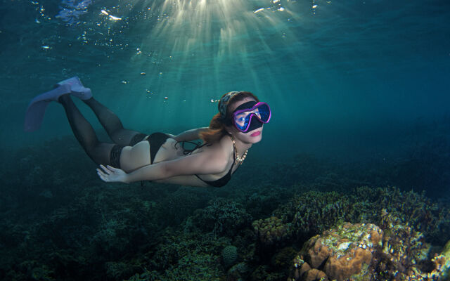 Turtle Bay Dive Resort