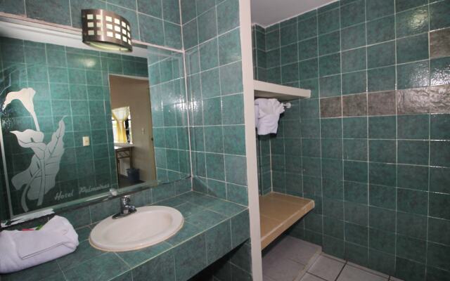 Hotel Gran Palmeiras