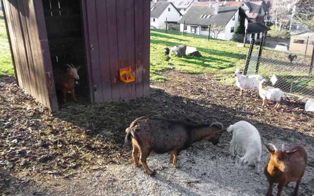Pension Himmelsbach Steinach