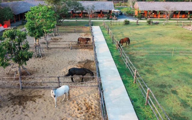 Niran Farm