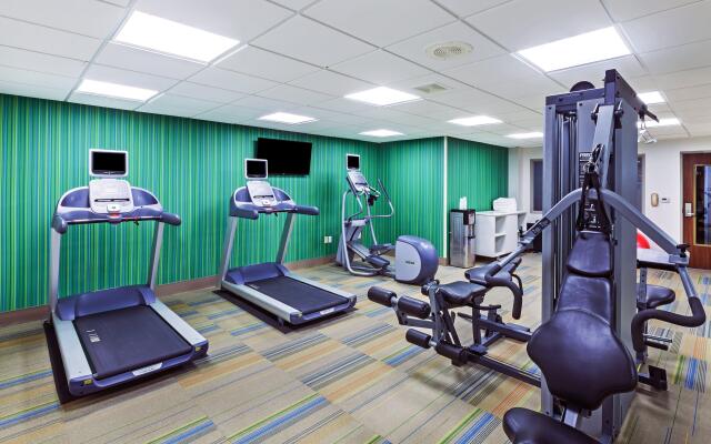 Holiday Inn Express Hotel & Suites Dallas Lewisville by IHG