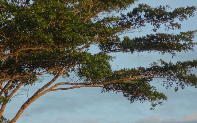 L'Étoile Celeste Lodge