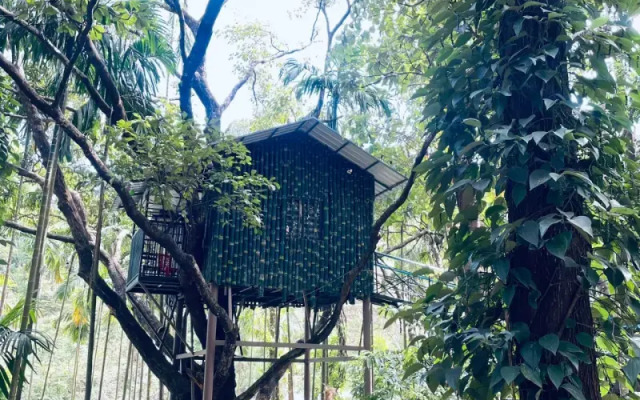 Treetop Resort