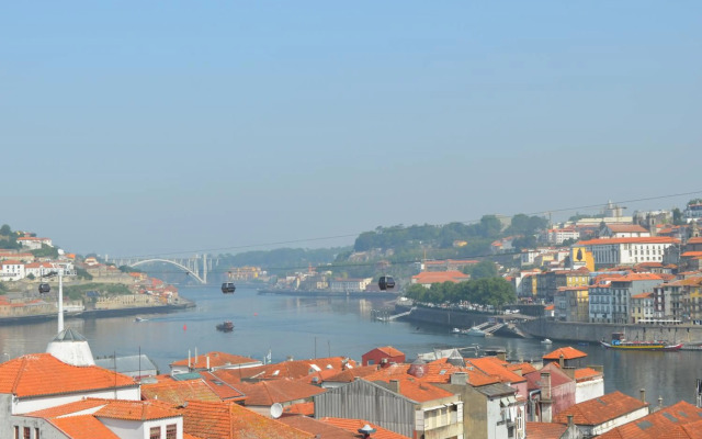 Modern and Cozy Apartment