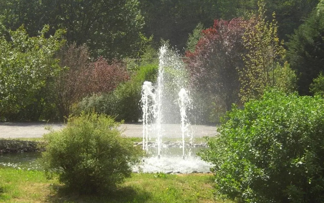 Schwarzwaldhotel Erdrichshof