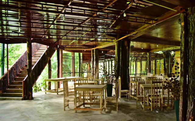 Pines Hut