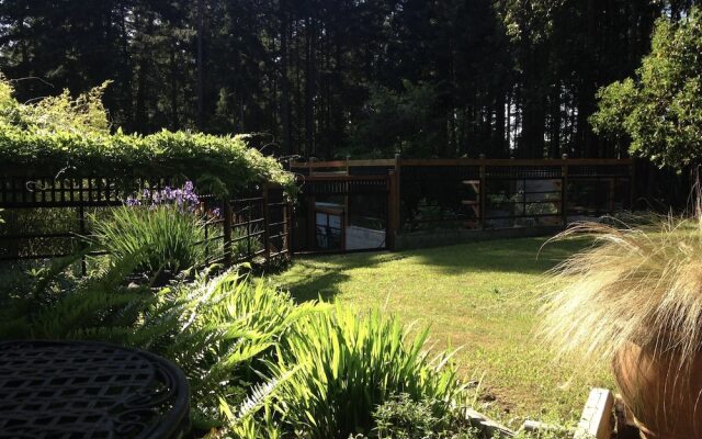 Salt Spring Carriage House B&B