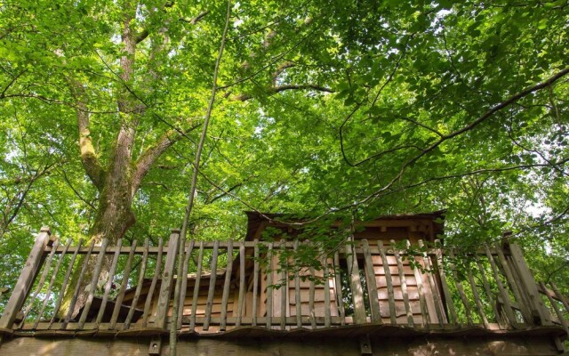 Les Folies de Sophie