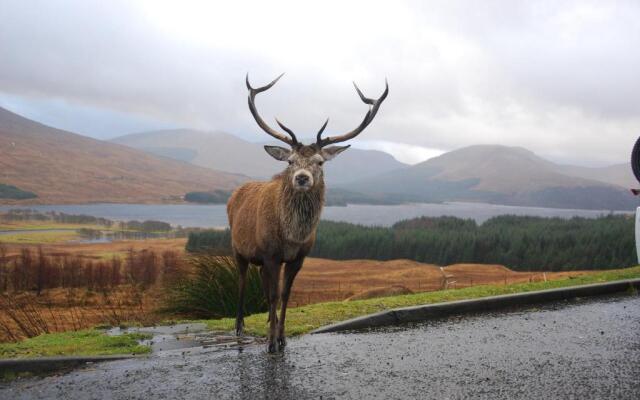 Little Fox Lodge Hideaway Glencoe - 5 Star with Hot Tub overlooking Loch Linnhe