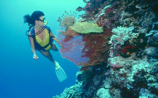 Loreto Bay Golf & Sea at Baja