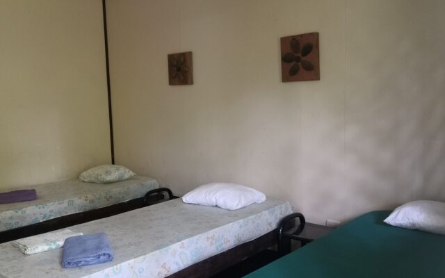 Cabinas Tortuguero