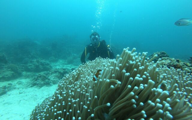 Calypso Beach & Dive Resort