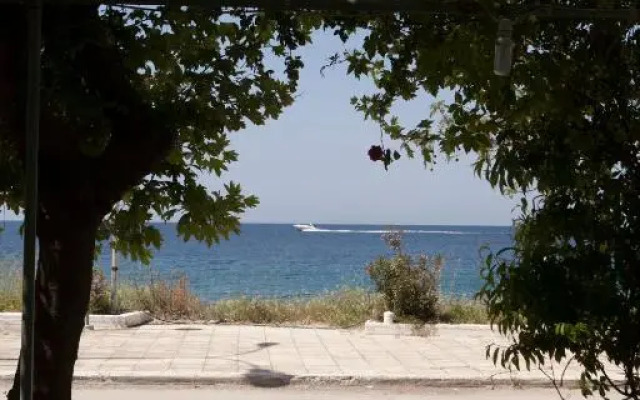 Hotel Kima