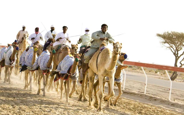 Mercure Grand Jebel Hafeet Al Ain Hotel