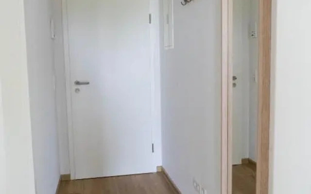 Apartment Schneeburg