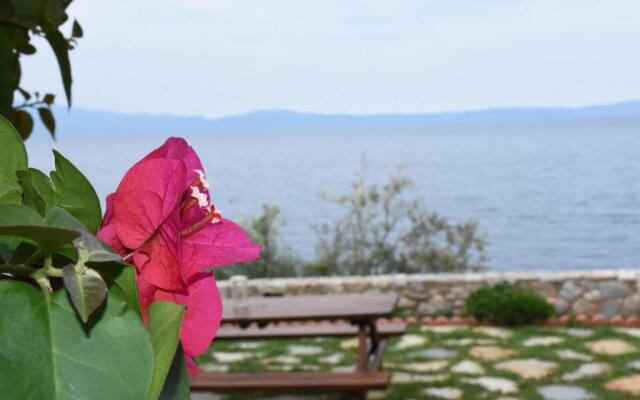 Aphrodite , Charming apt with stunning view!