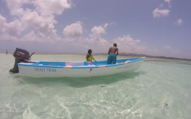 Angel Fish Cove