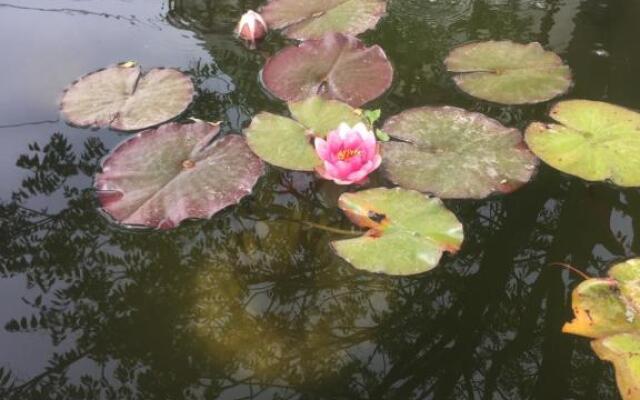 Lelle-kert Apartman 01