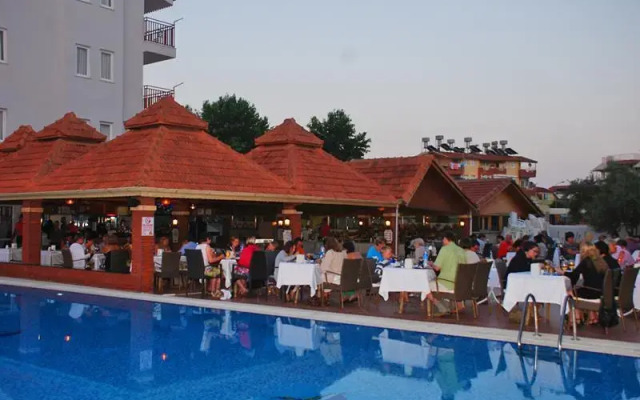 Catty Cats Garden Hotel