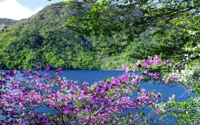 Nikko Lakeside Hotel