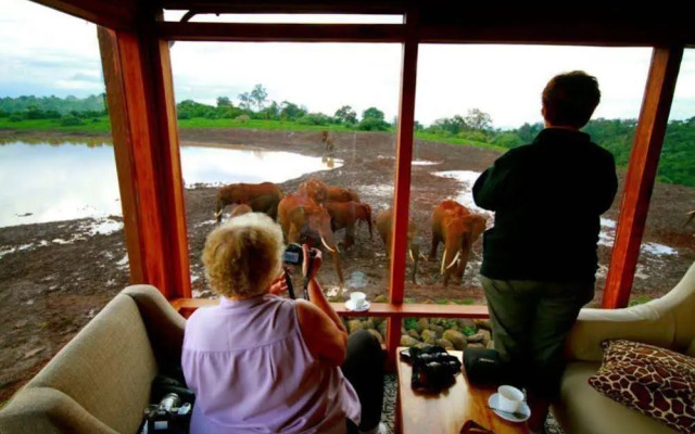 The Ark Lodge