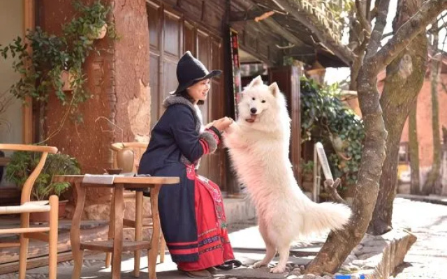 Shuhe Danggui Courtyard · Pet-Friendly Garden Courtyard-Style Hotel (Lijiang Shuhe Old Town) – People – Lijiang