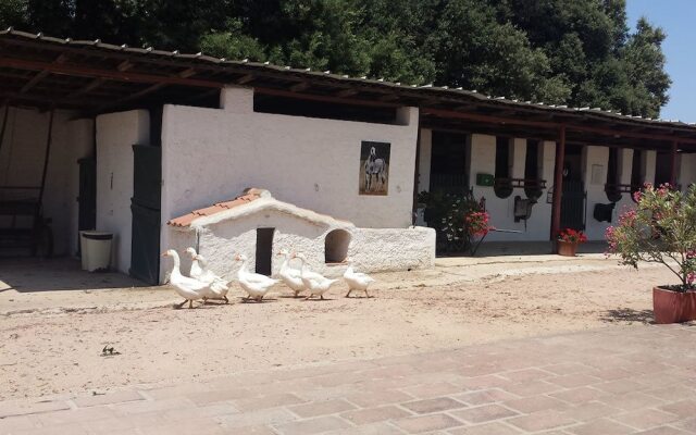 Santa Igia B&B Country House