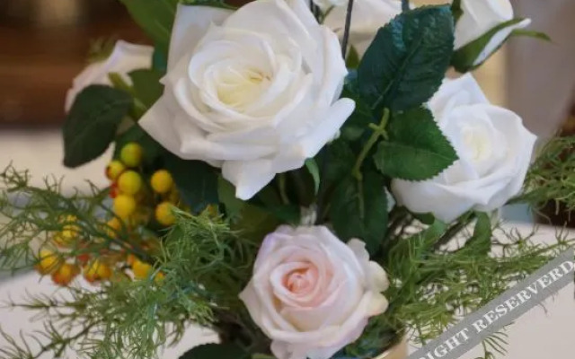 Venus Hotel High-speed Rail South Station Yuhua District Government Branch