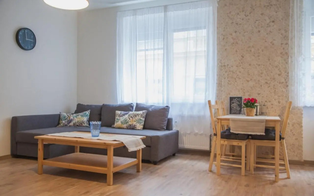 Downtown Pedestrian Zone Apartment