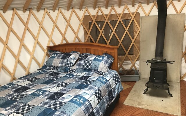Raven House Alaska