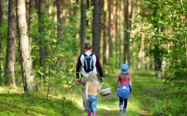 Chalets, Heringhausen