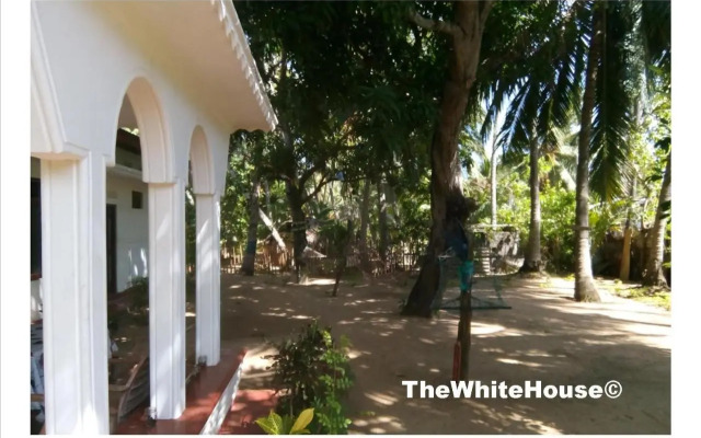 The White House