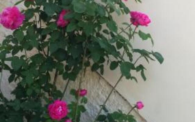 Rose Garden Rooms
