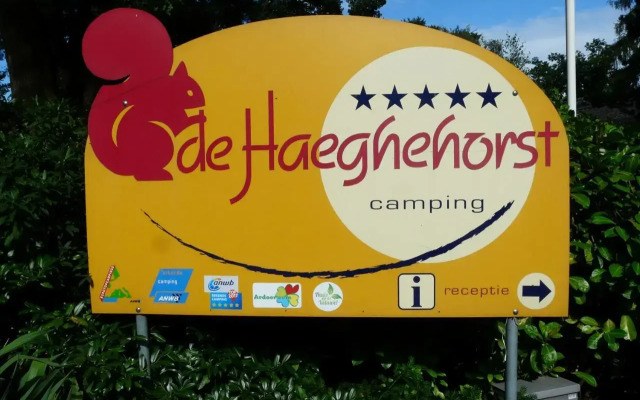 Dolfijn