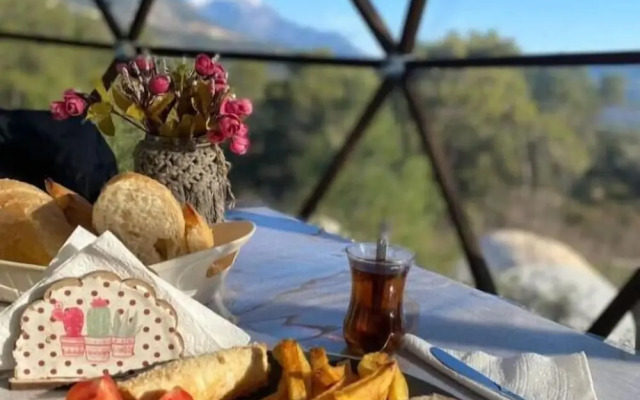 Evergreen Glamping