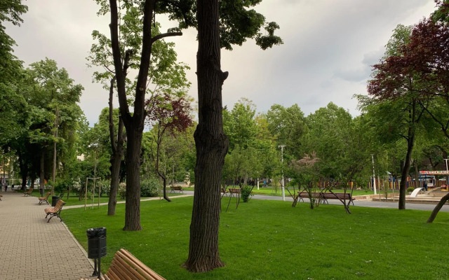 Floreasca Apartment Bach