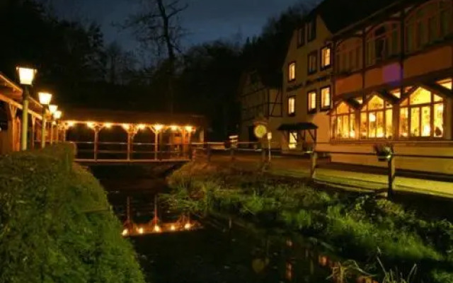 Waldhotel Pfarrmühle