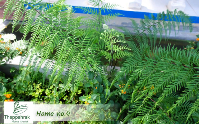 Theppahrak Home Khaolak